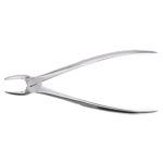 forceps premolares