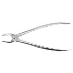 forceps premolares