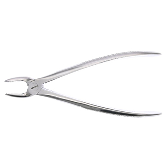 forceps premolares
