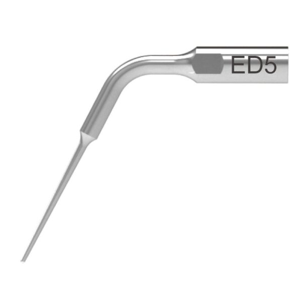 e5 e5