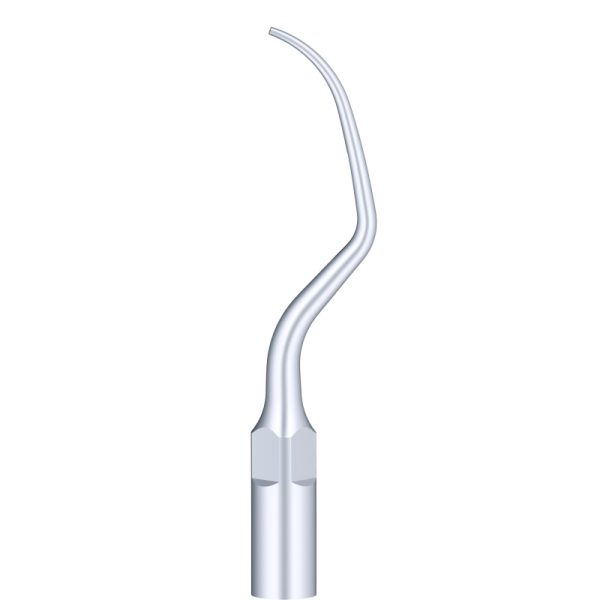 p20 p20